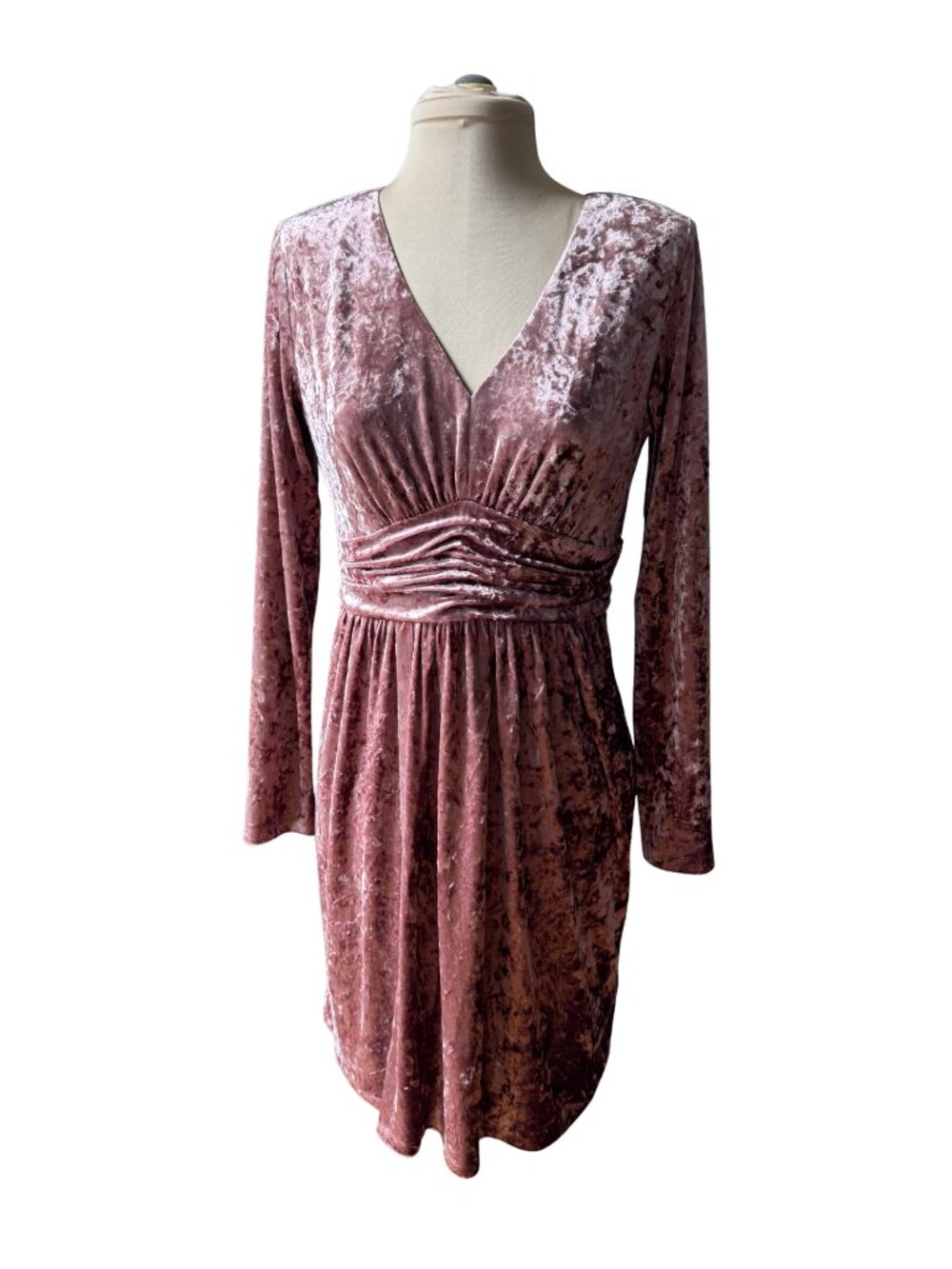Violets & Roses Long Sleeve Crushed Velvet Dress - NWT - Size 6
